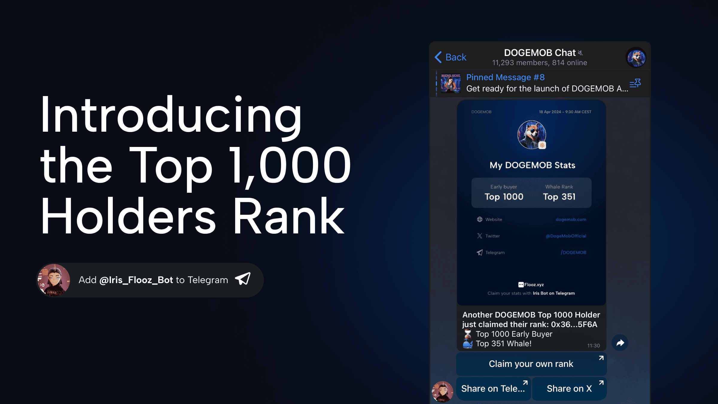 Top 1000 Holders Rank on Iris Bot by Flooz.xyz